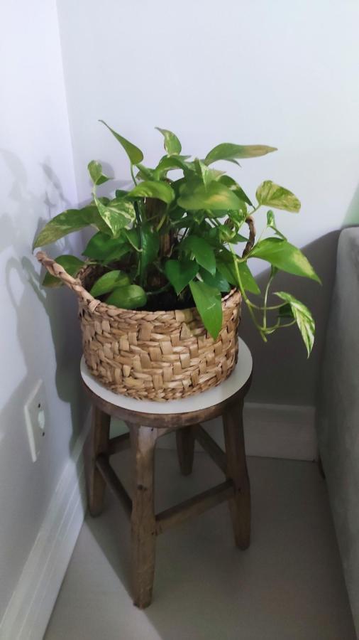 Pinda X Campos X Aparecida Appartement Pindamonhangaba Buitenkant foto